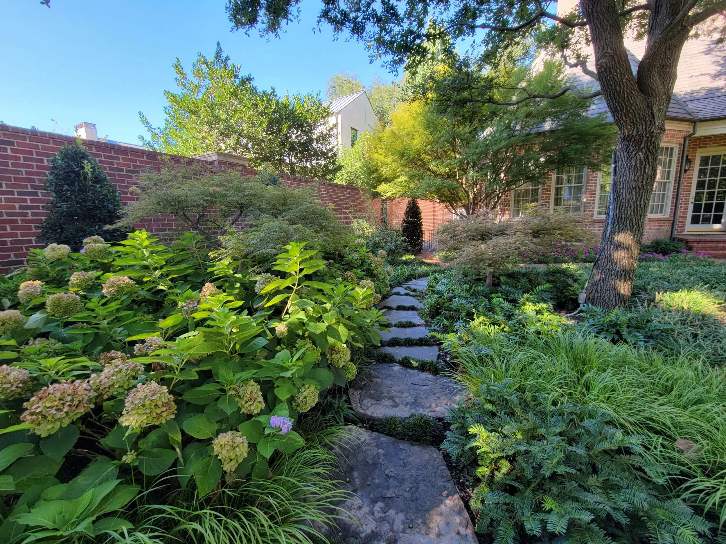 Professional Landscaping in Fort Worth